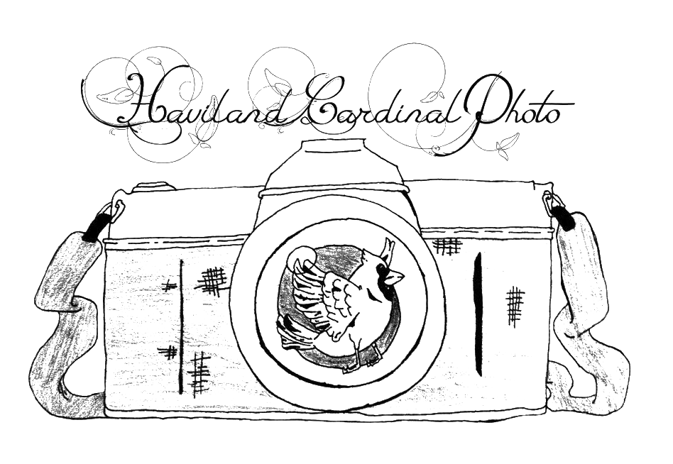 Transparentlogo